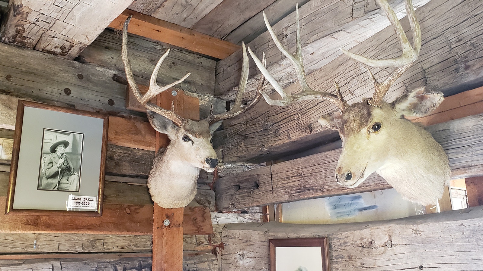 Hunting trophies adorn the walls of Jim Baker's cabin fortress in Savery, Wyoming.