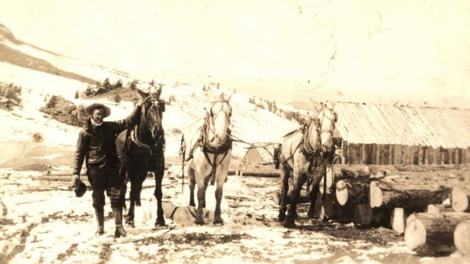 John Hulse, stagecoach driver, coal miner and eventually a rancher, poses with his horses in rural Wyoming.