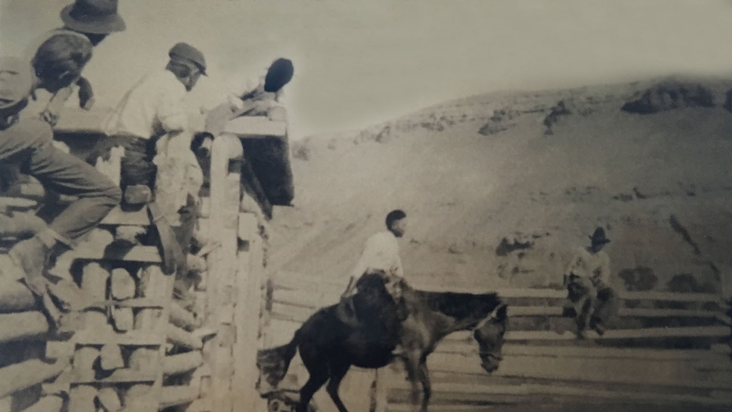John Stepp riding horse at Stepp Ranch. Among those shown are Bill wearing a cowboy hat on the fence at left, Dutch on the shed, and Lon sitting on the fence at right.