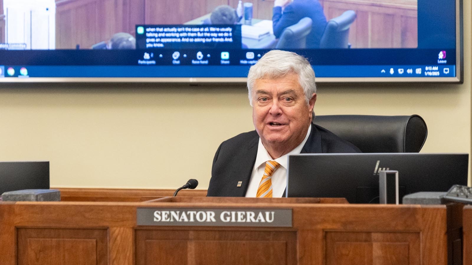 State Sen. Mike Gerau, D-Jackson, during a Joint Appropriations Committee meeting Jan. 23, 2025.