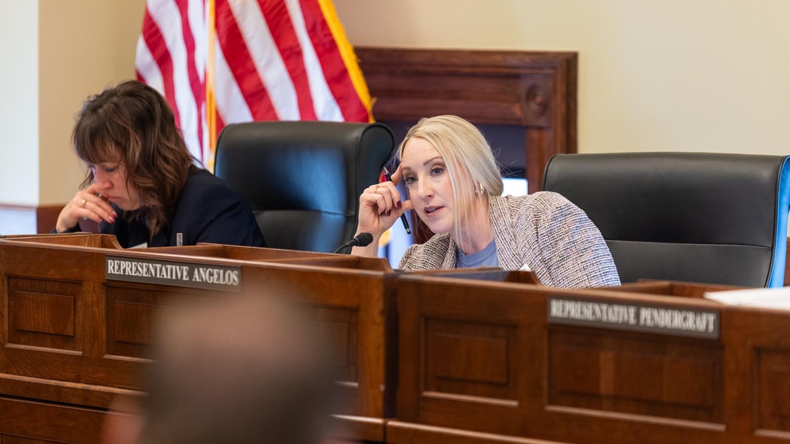 State Rep. Abby Angelos, R-Gillette, during a Joint Appropriations meeting at the Capitol on Jan. 23, 2025.