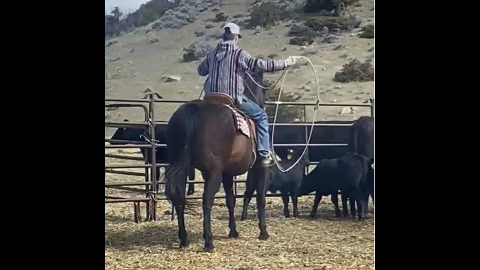 Jory Thomas, 14, practices with a rope in Big Timber, Montana.