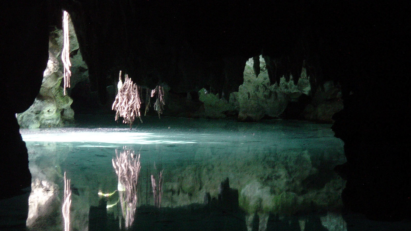 Looking into the entrance of a cenote in cave in Mexico.