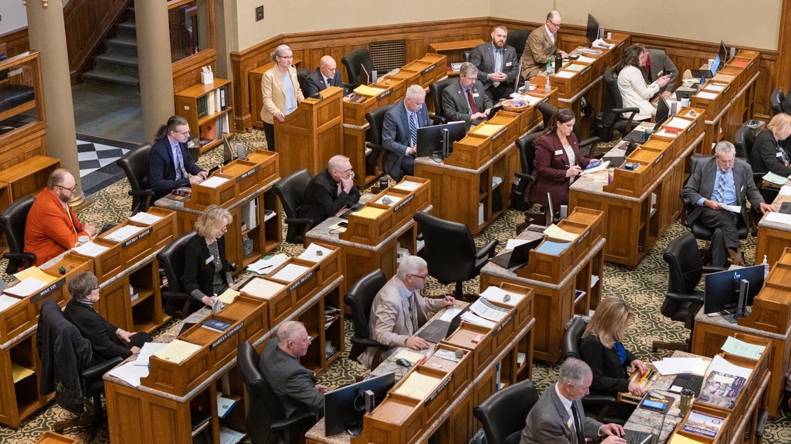 State Rep. Julie Jarvis, R-Casper, proposes an amendment to the "What is a Woman Act" on the House floor Friday, Jan. 17, 2025.