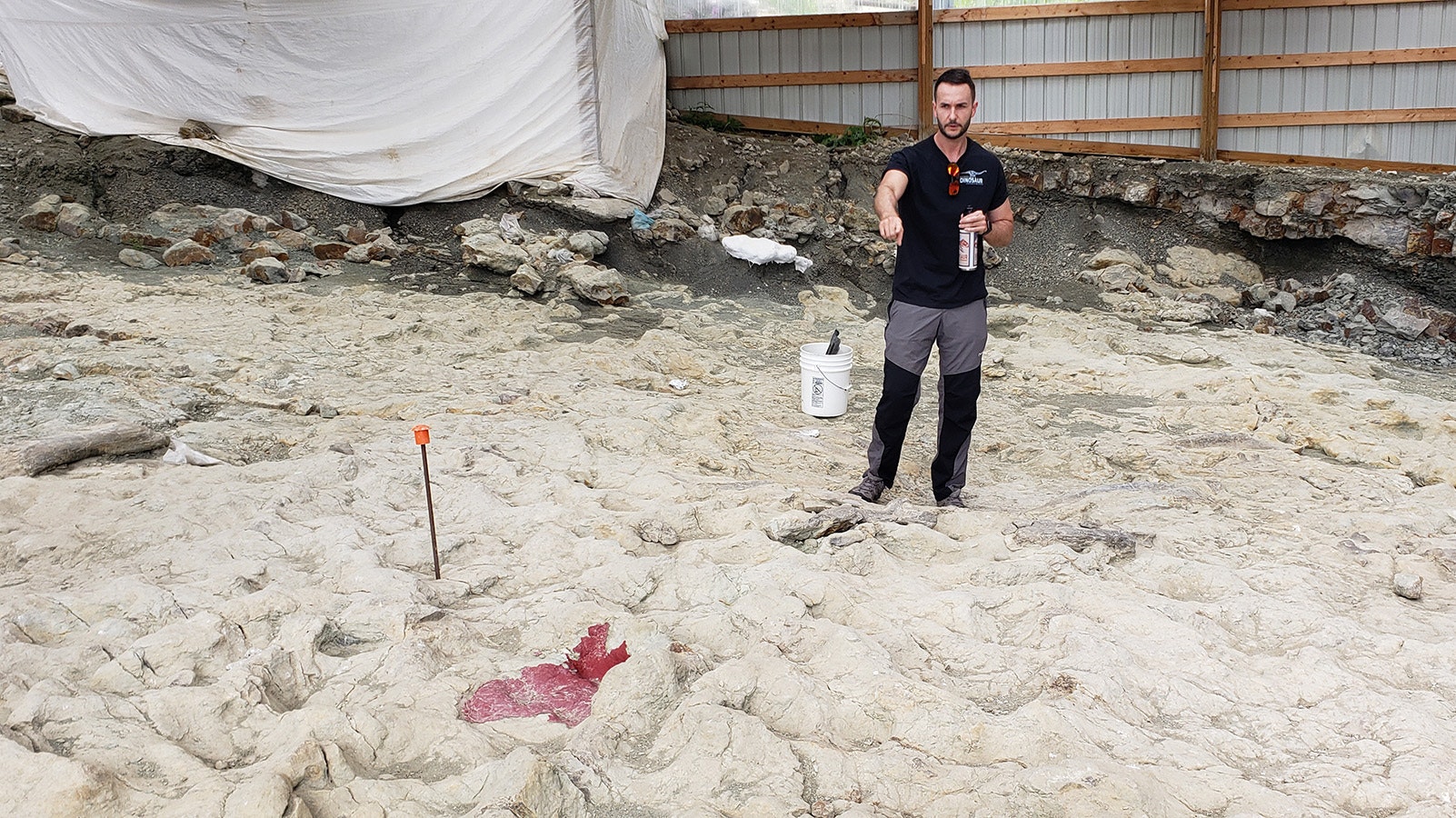 Dean Lomax stands in the fossilized indention of a juvenile camarasaurus ripped apart by several allosauruses at the Something Interesting dig site at Warm Springs Ranch.