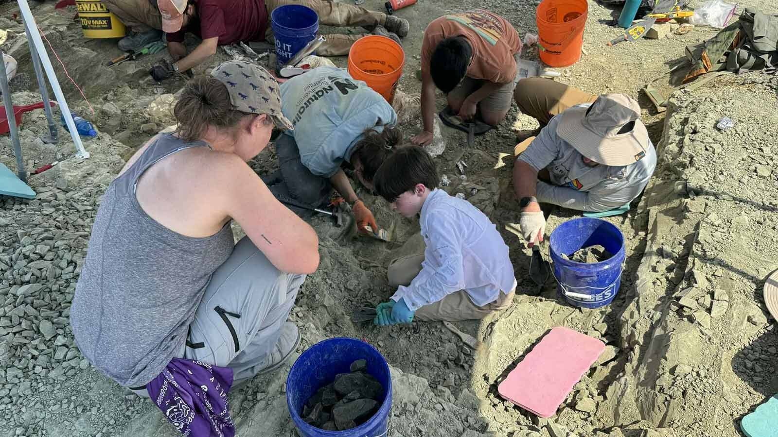 Fossil preparator Rachel Gray oversees a collection of paleontologists and first-time families excavating fossils at the Jurassic Mile. Rather than working in an innocuous spot where they won't find anything, the kids and families work side-by-side with paleontologists from the Children's Museum of Indianapolis and Naturalis Biodiversity Center in the Netherlands in the spot where the work is needed and fossils are being found.