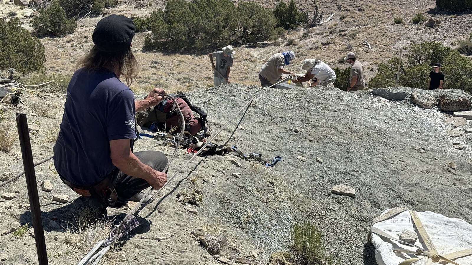 Juan Laden, a vertical rope expert, follows the downhill progress of one of the massive jackets containing a partial Camarasaurus skeleton found near the Alcova Reservoir, south of Casper.