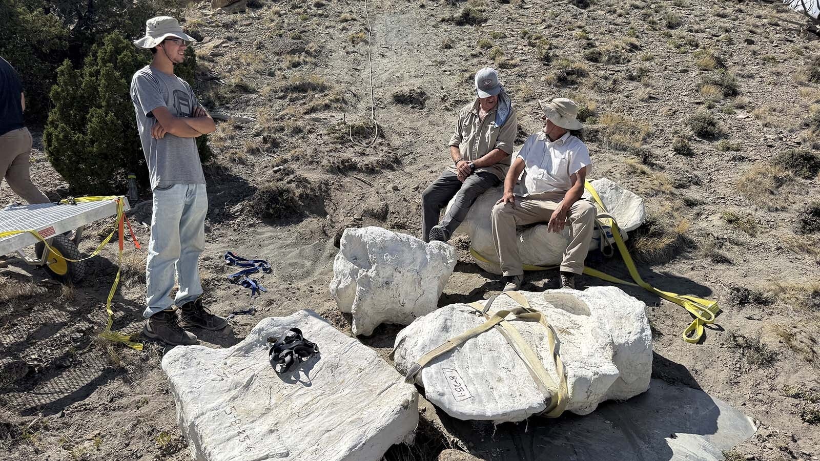Member of the "jacket recovery crew" savor their successful effort to haul four large jackets, weighing 200 to 700 pounds apiece, containing a partial dinosaur skeleton, to the bottom of the hill where they had been found and excavated.
