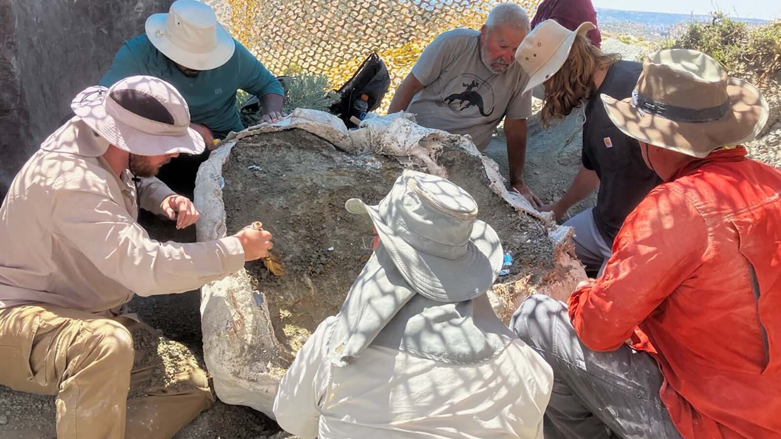 Working on one of the huge tailbones of the Jurassic ass are, from top left, Bryan Aivazian Ryan Tutt Jon Yoder Dan Kurfis Dallas Smith and Diego Rao