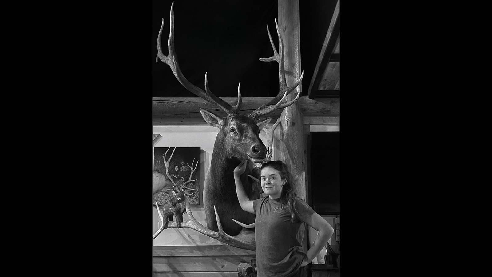 This big bull is Kaci Bulkley’s first elk. At age 12, she’s just started her hunting career.