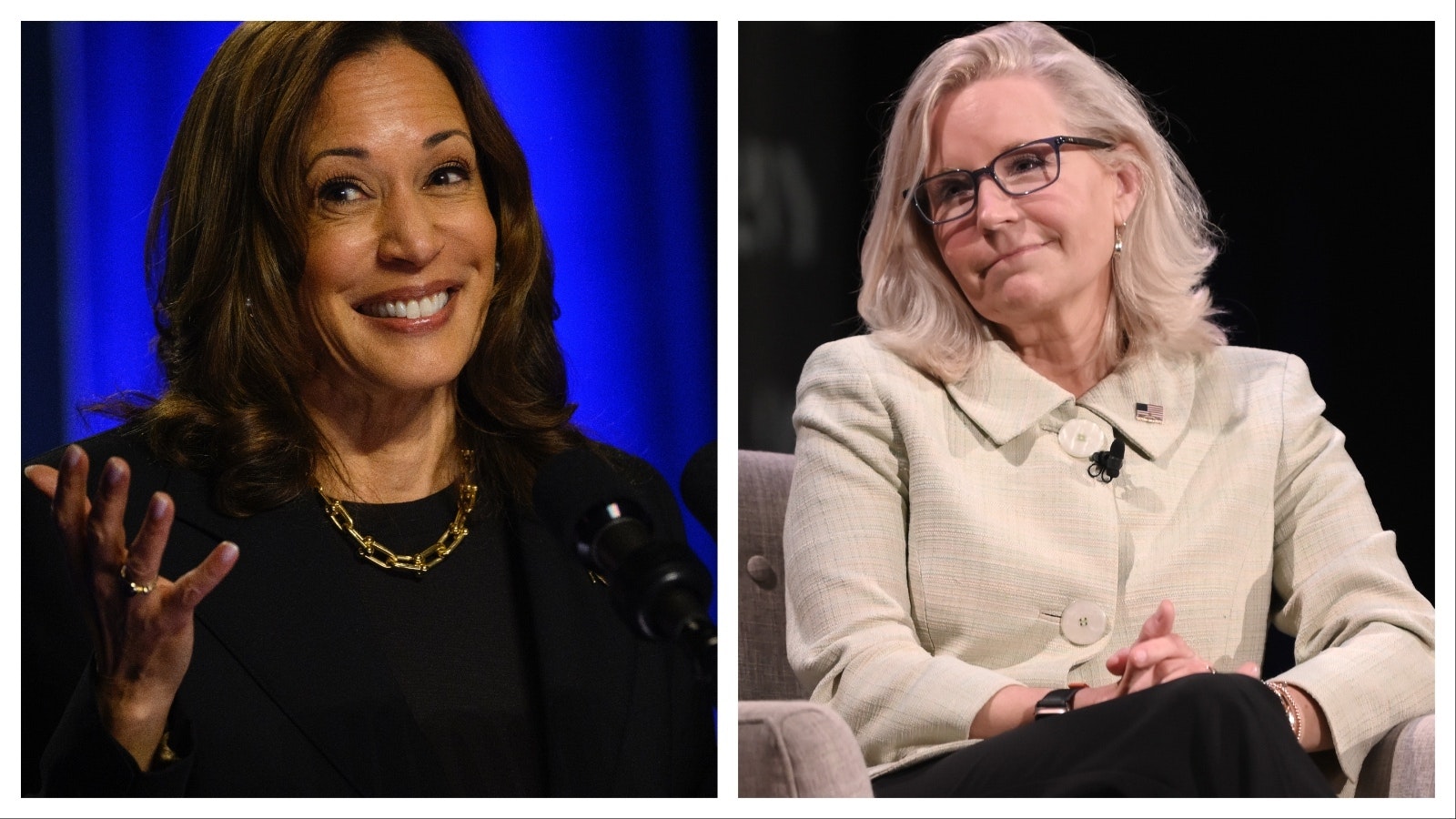 Vice President Kamala Harris, left, and Liz Cheney.