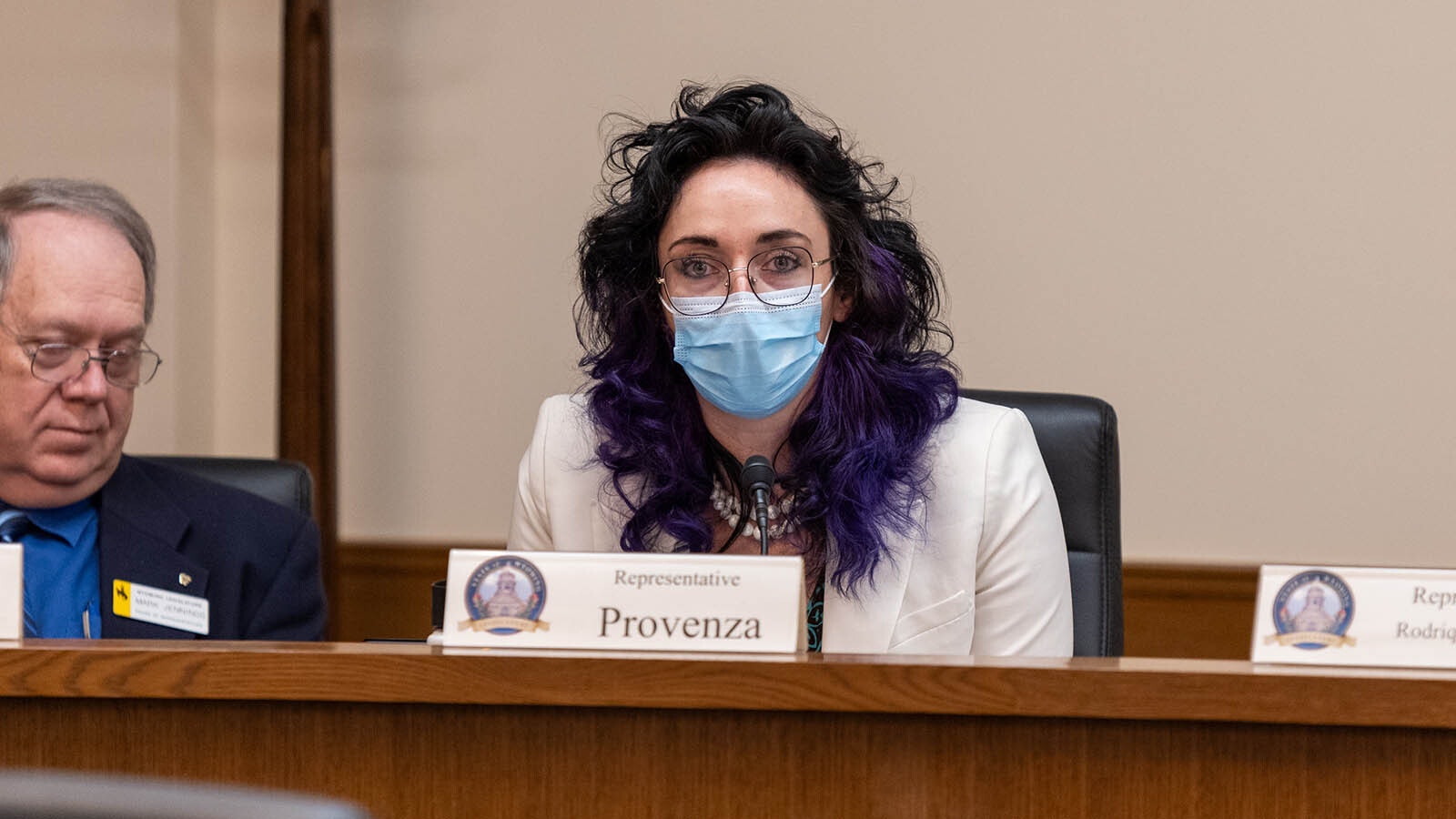 Rep. Karlee Provenza, D-Laramie, during Monday's House Judiciary Committee meeting.