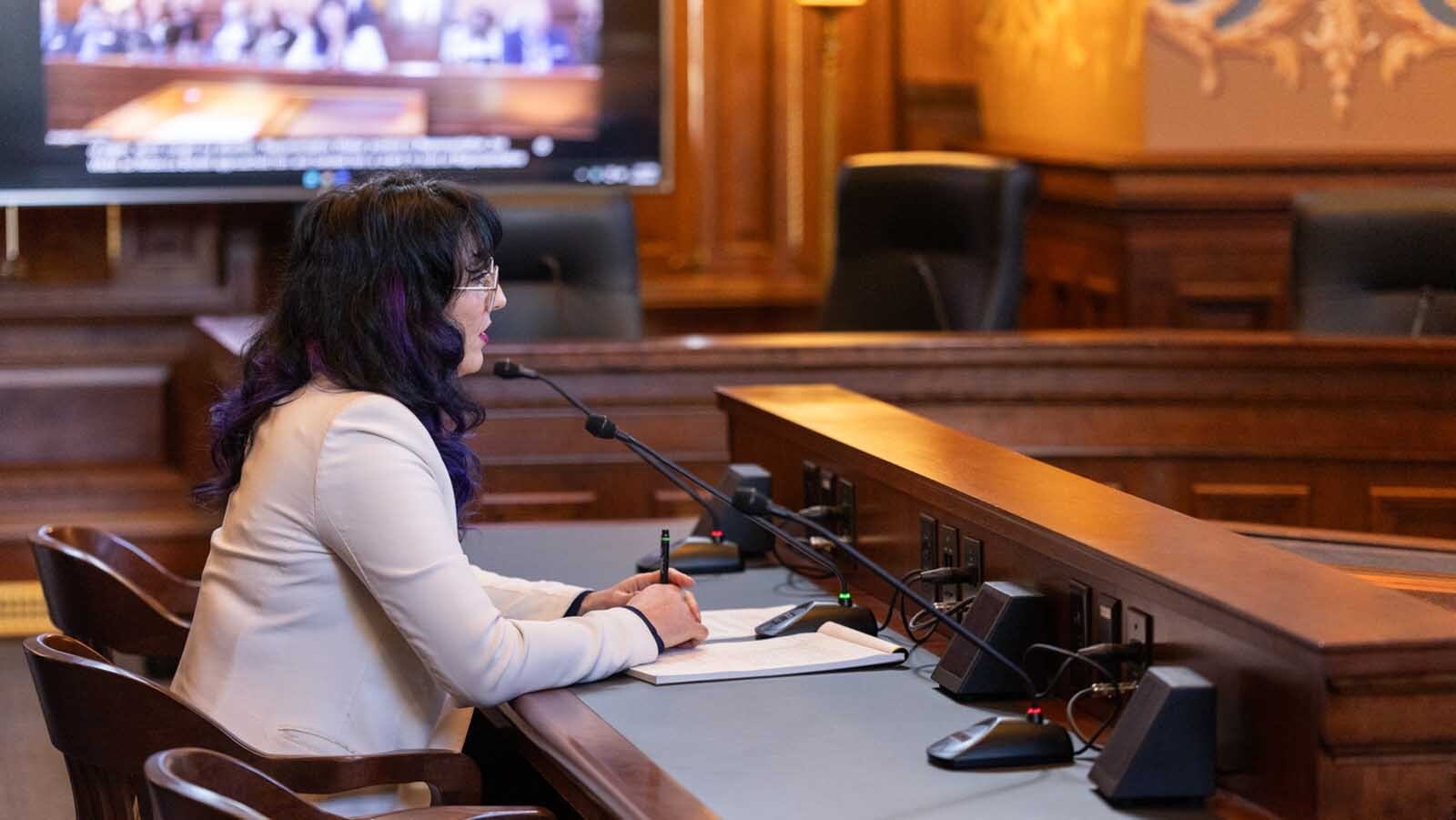 State Rep. Karlee Provenza, D-Laramie, testifies Thursday for the House investigative committee about checks she handed out to legislators on the House floor on Feb. 9, 2026.