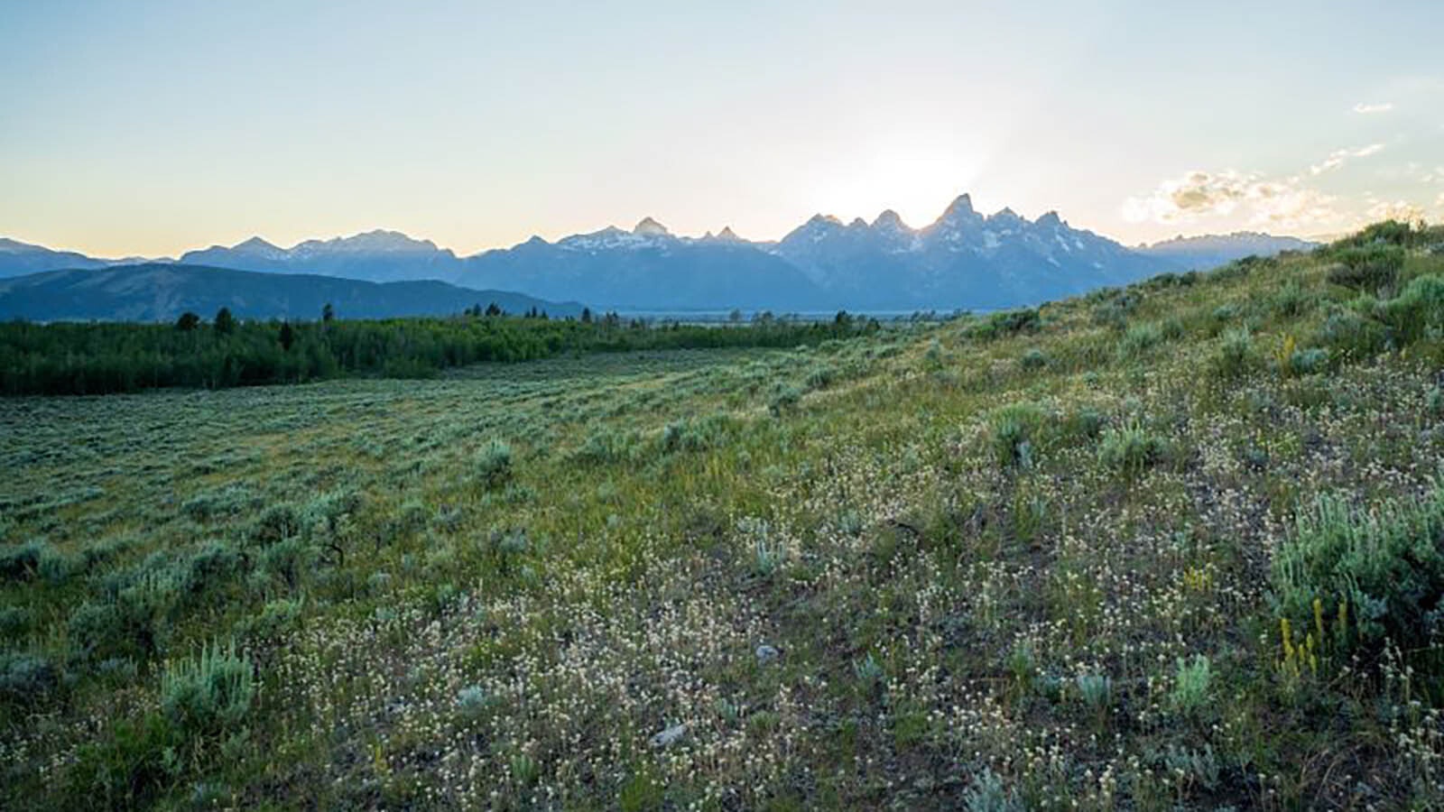 The Kelly Parcel is 640 acres of pristine land adjacent to Grand Teton National Park in Wyoming.