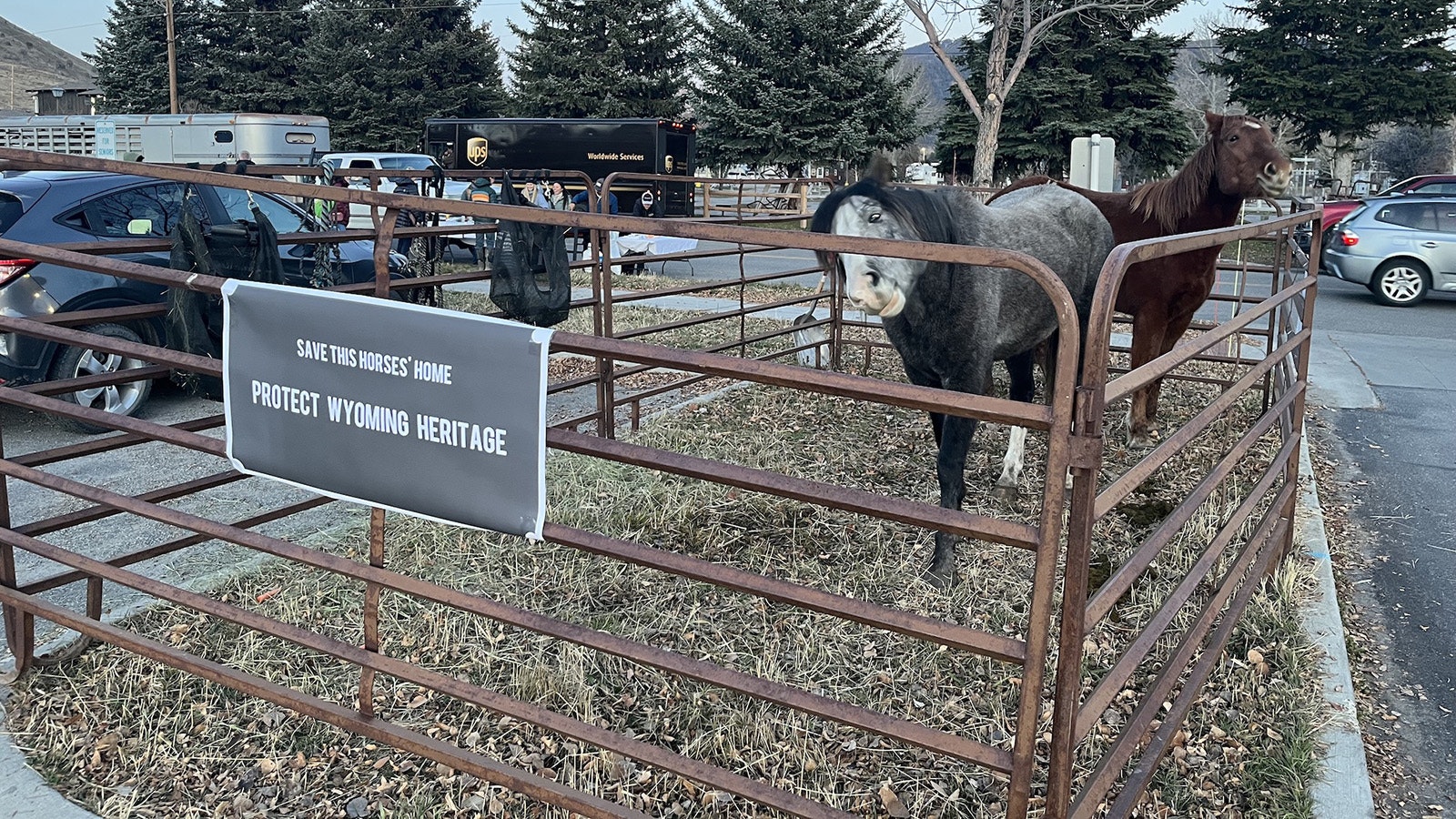 JH Outfitting Co. brought a couple of its horses to make a statement at Thursday's public meeting on the potential auction of the Kelly parcel in Grand Teton National Park.