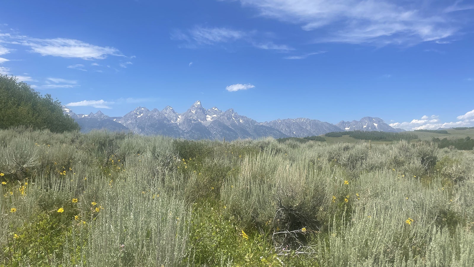 The Kelly parcel is 640 pristine acres of public land in Grand Teton National Park that could hit the auction block.