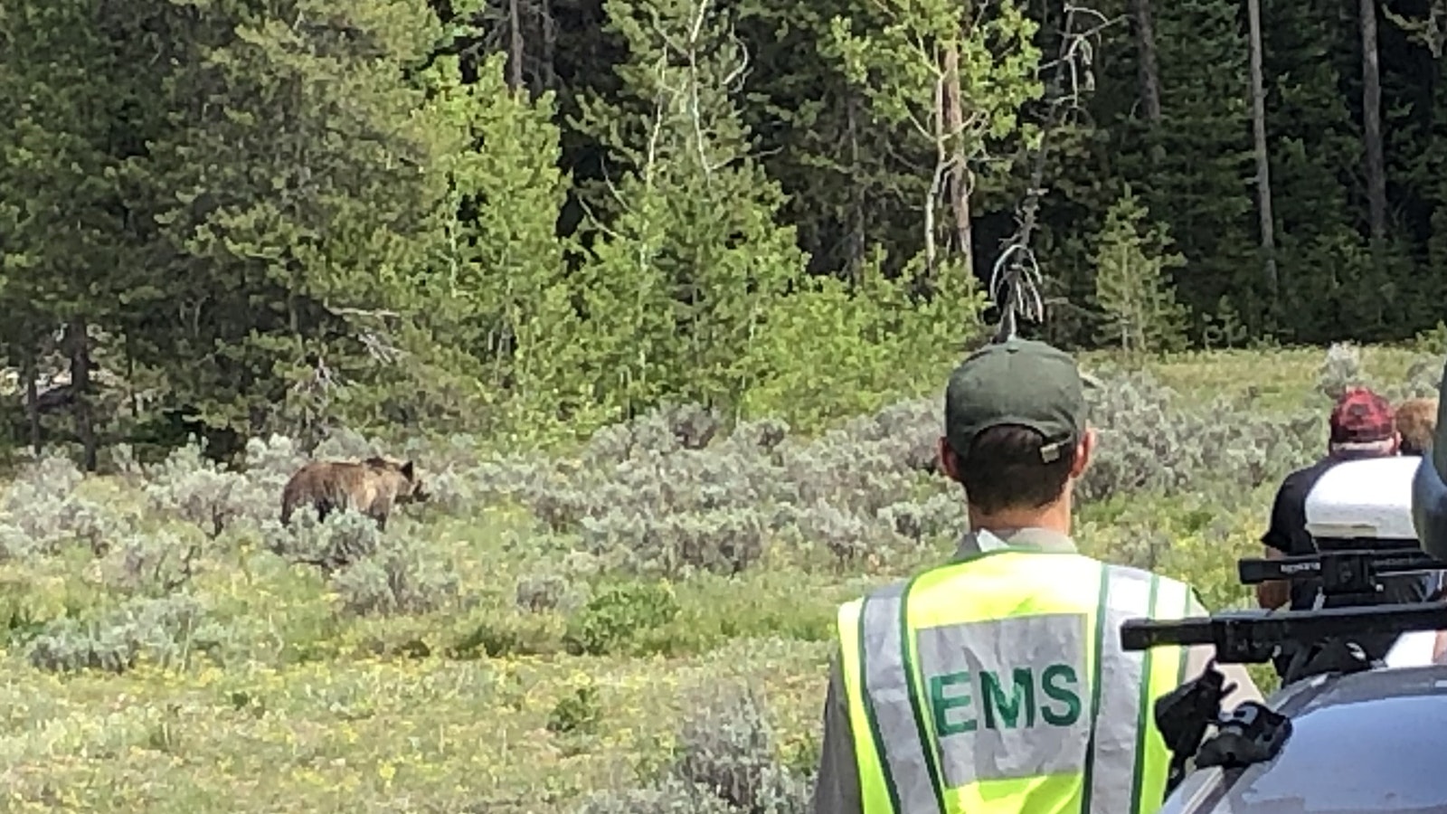 While working in Grand Teton National Park, Kevin Grange’s duties included directing traffic during “bear jams