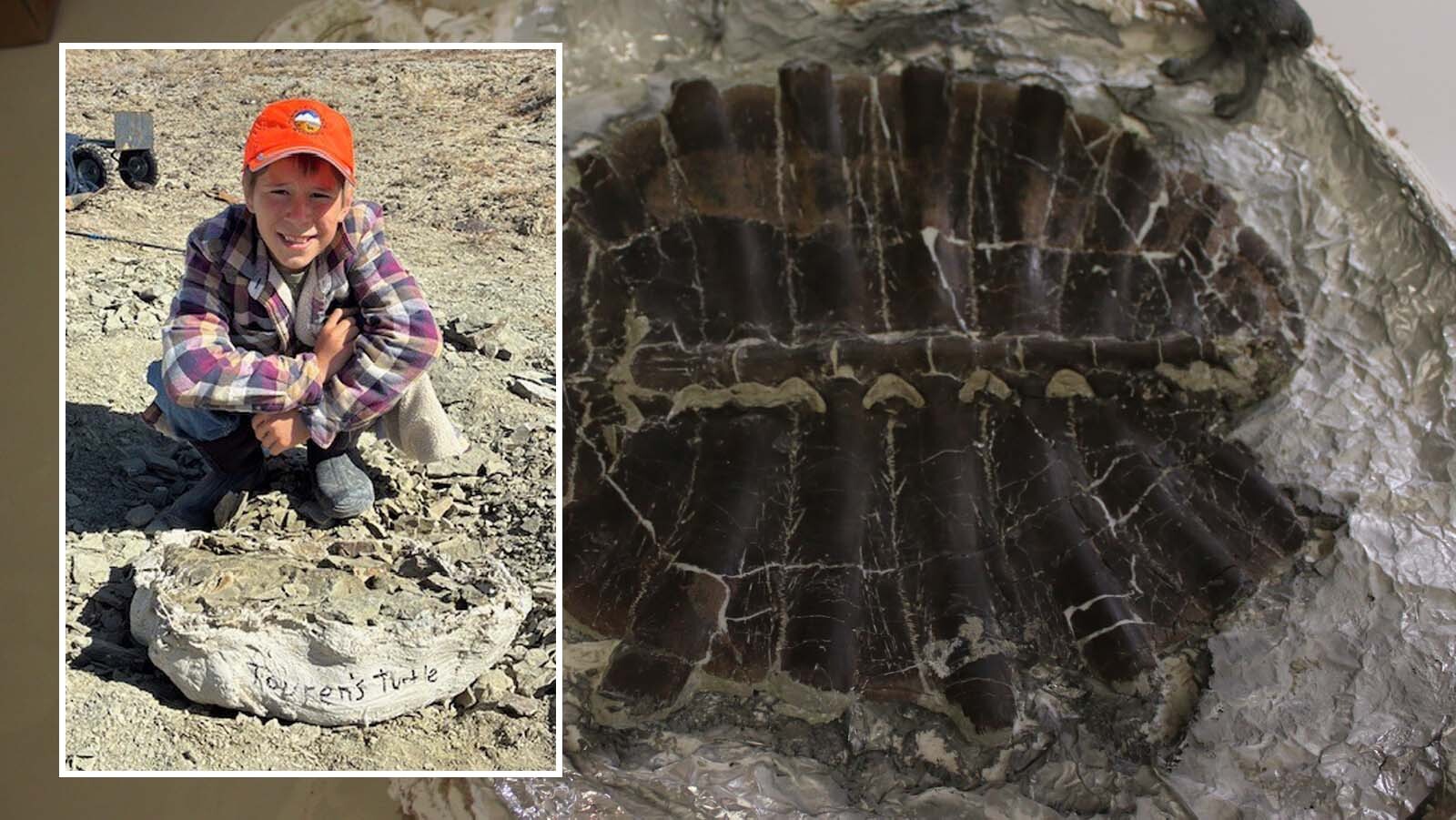 11-Year-Old Finds 48-Million-Year-Old Turtle Shell in Southwest Wyoming