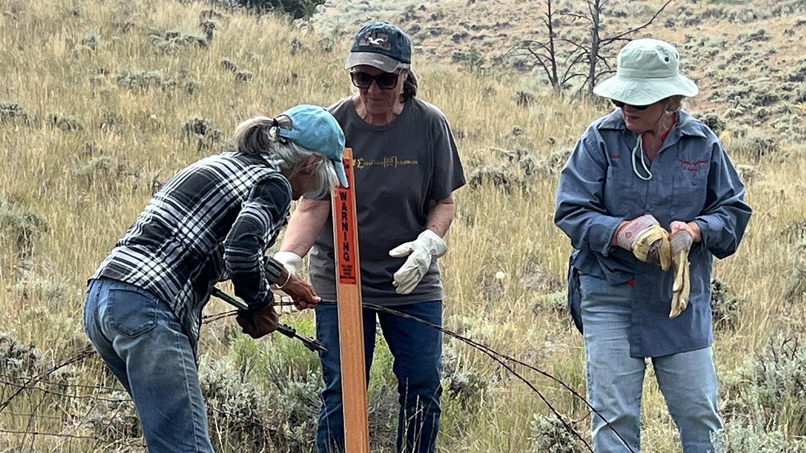 Volunteers remove 100-year-old barbed wire from a rural subdivision near Cody on Monday. The wire was a hazard for wildlife and pets.