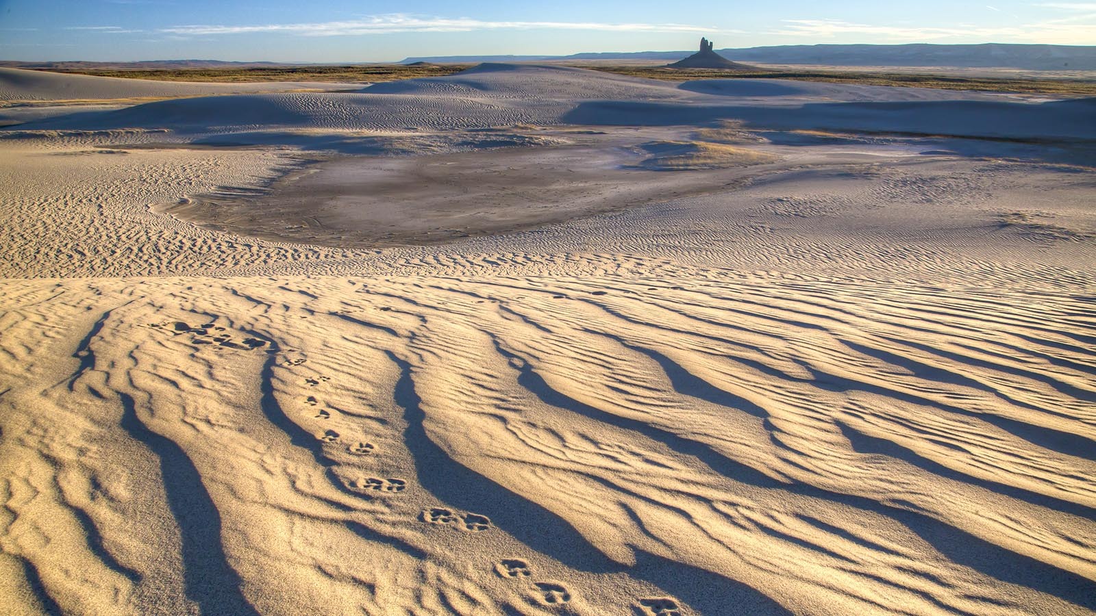 Wyoming's Killpecker Sand Dunes: 