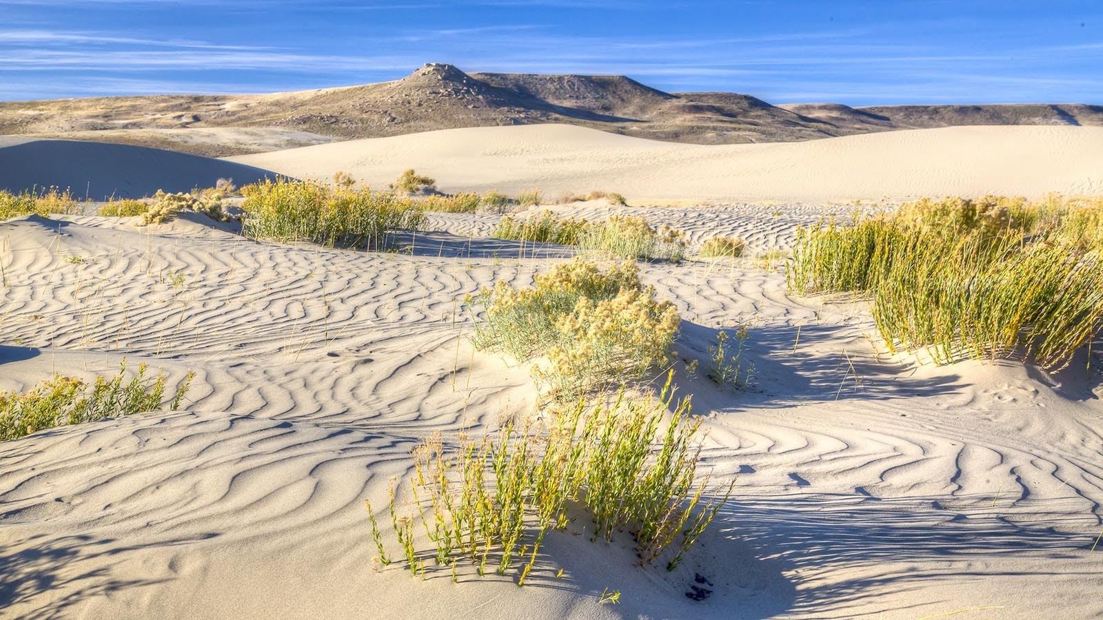 The Killpecker Sand Dunes in southwest Wyoming are a unique landscape that draws visitors and hunters.