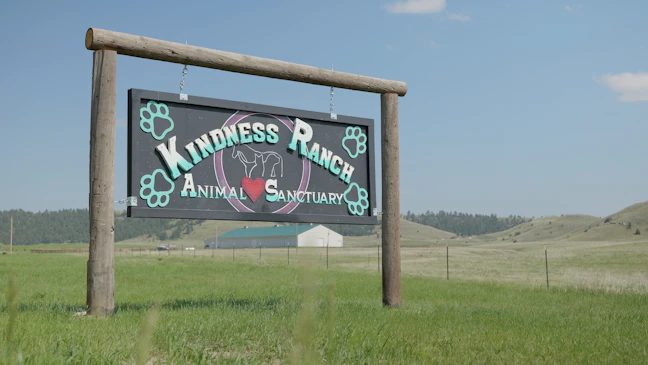 Wyoming’s Kindness Ranch To Rescue 70 Cats And Dogs From Colorado ...