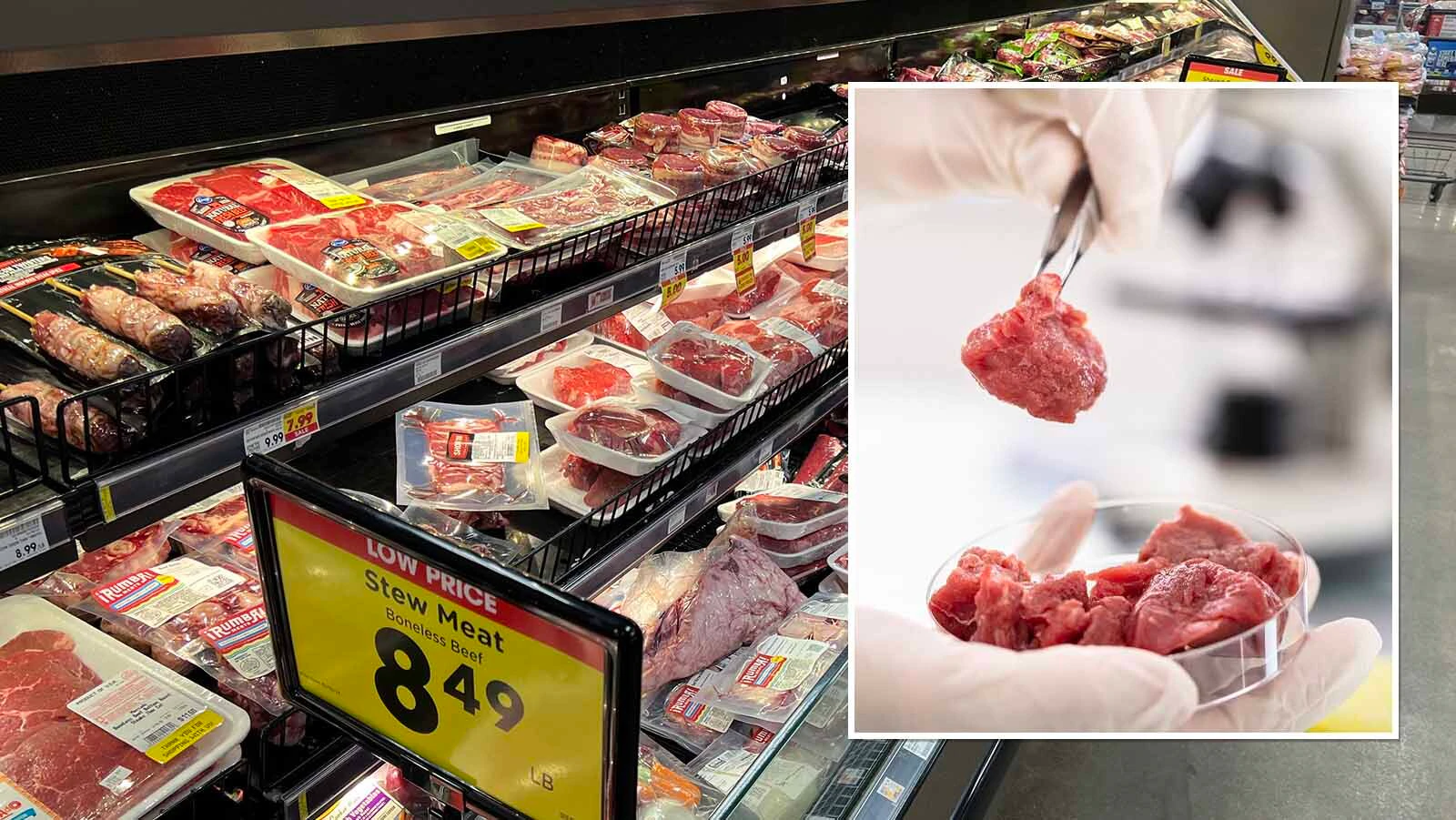 Wyoming ranchers are cheering a bill that targets labeling of plant-based and lab-grown proteins being passed off as farm- or ranch-raised meat. It’s an effort to “prevent mad scientists from masquerading as meat producers,” says Rep. Harriet Hageman.