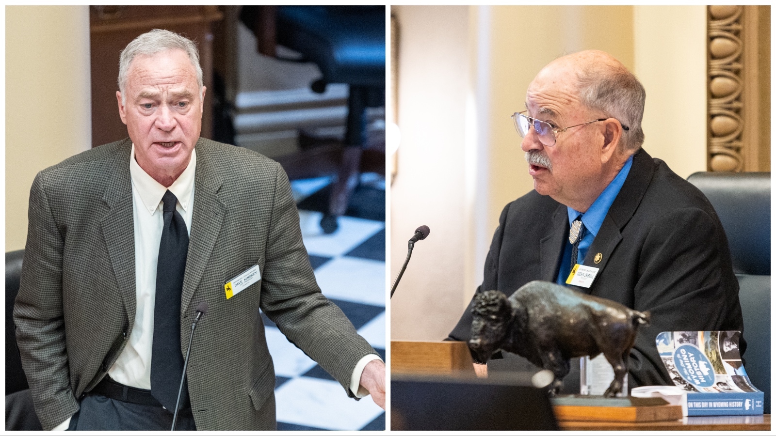 Senate Vice President Dave Kinskey, R-Sheridan, said he doesn't believe Senate President Ogden Driskill, R-Devils Tower, has the authority to strip him of his chairmanship of the Senate Appropriations Committee. Driskill said he does, and he has.