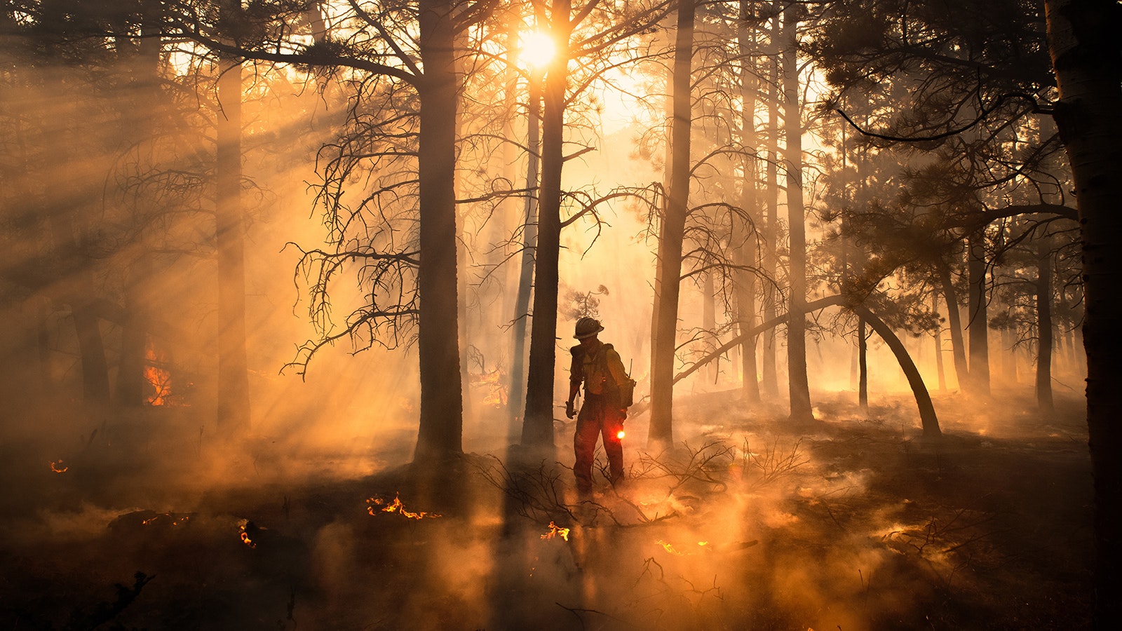 A crew member uses a fusee to clean up an interior pocket during a small scale burnout operation on the Britania Mountain Fire. The light shining through is known as "Kyle Light" by the Wyoming Hotshots.