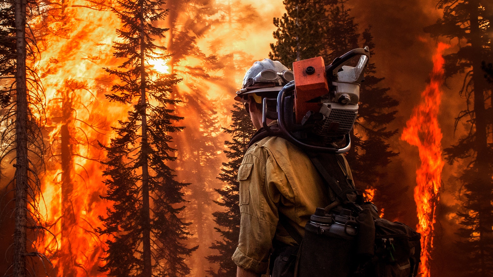 A wildland firefighter walks along the edge of the Dixie Fire in northern California in 2021. This firefighter’s job is to help monitor the ongoing backfiring operation and to watch for any embers falling onto the wrong side of the control line.