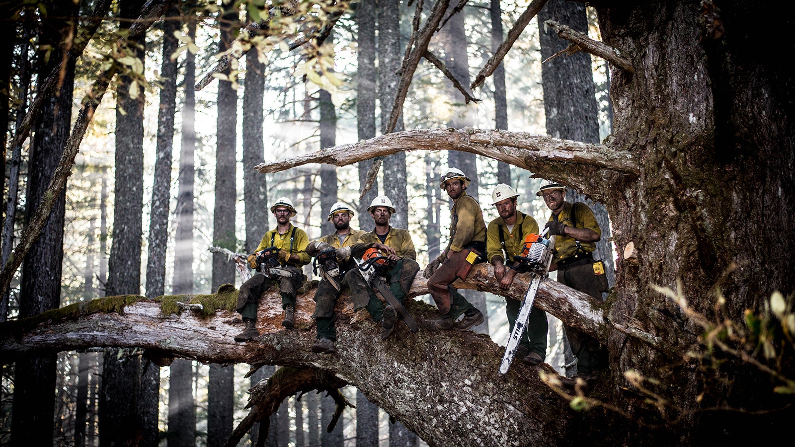 Kyle Miller, second from right, took this picture of the Wyoming Hotshots Saw Squad in Douglas fir in Northern California using a remote.