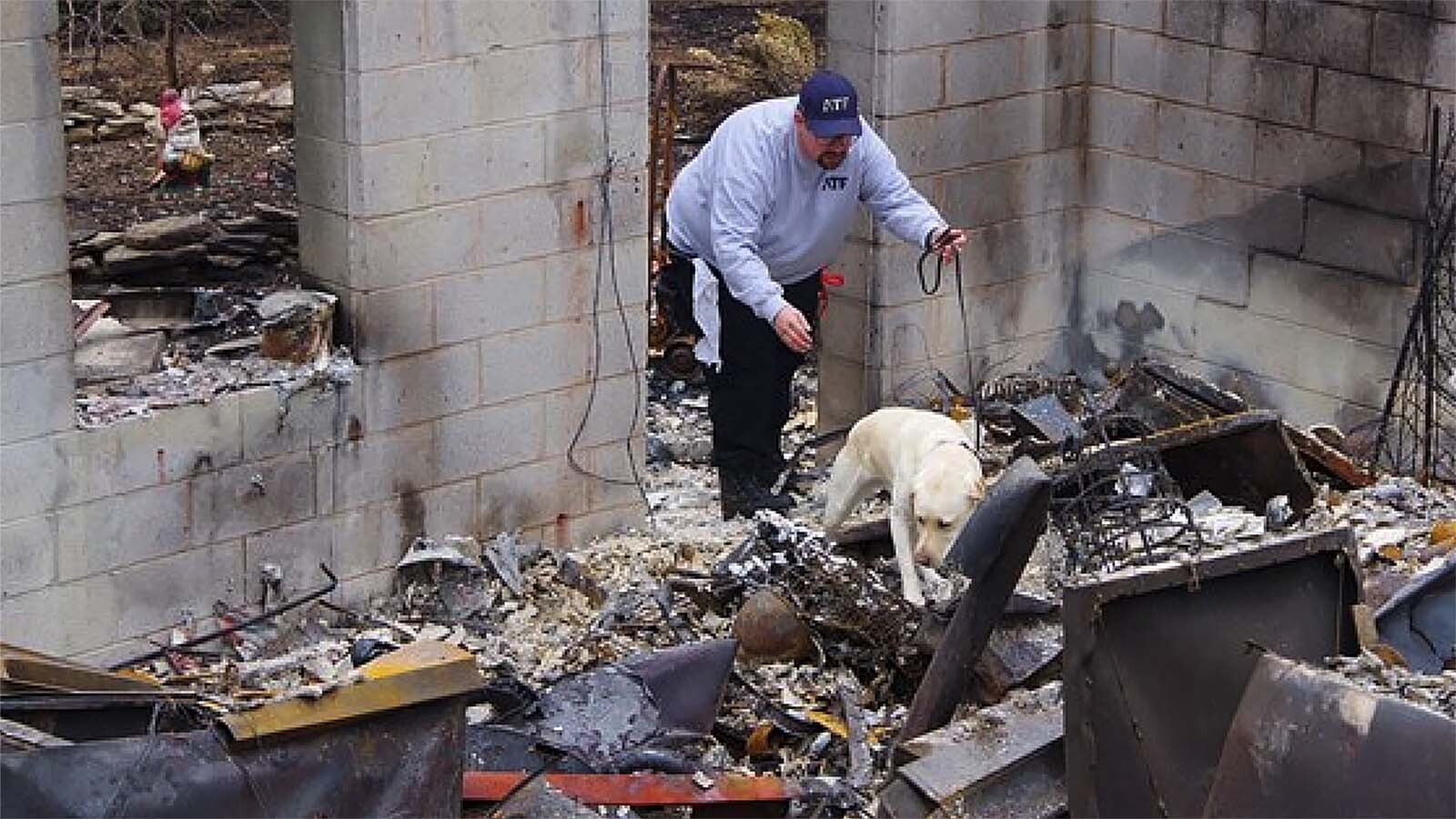 Kyoto, Wyoming’s first ATF-trained arson detection dog, helps investigators sniff out arsonists with his powerful nose. The lovable Labrador also loves to play and calms fire victims.
