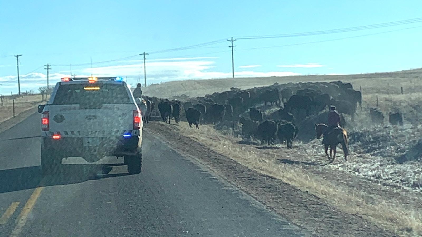 The Laramie County Sheriff's Office helps Red Baldy Ranch move 400 cattle on Campstool Road the day before Christmas.