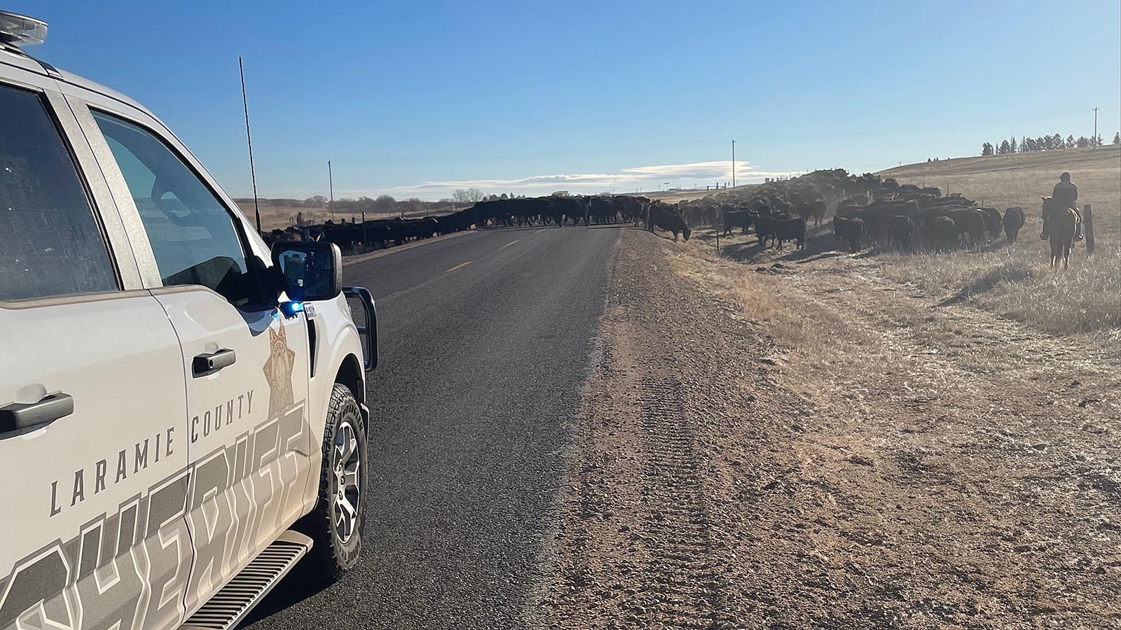 The Laramie County Sheriff's Office helps Red Baldy Ranch move 400 cattle on Campstool Road the day before Christmas.