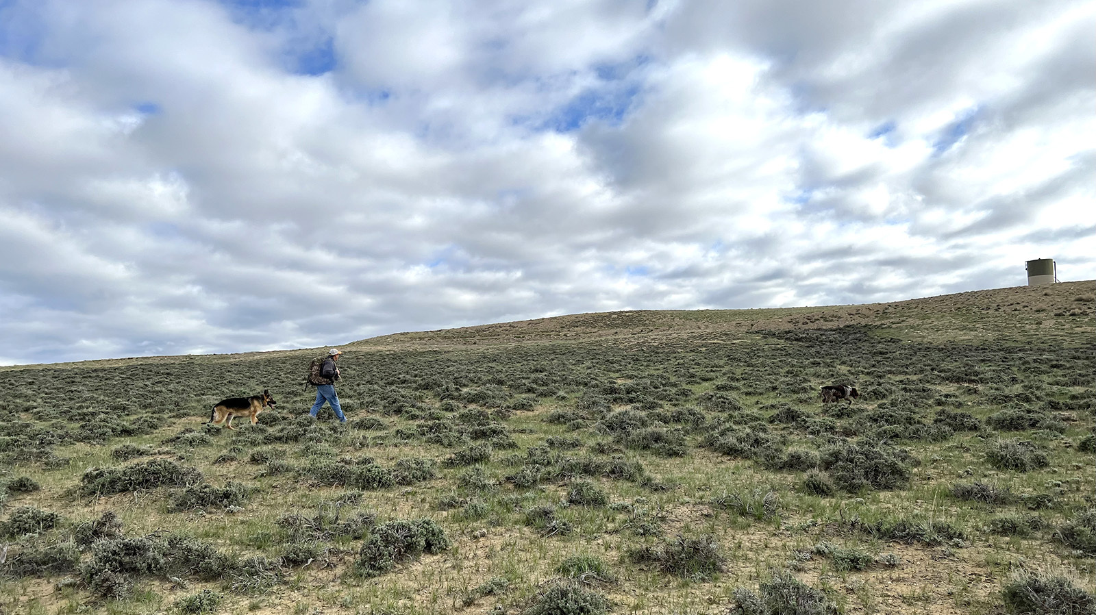 The Last Open Range — High Country News – Know the West