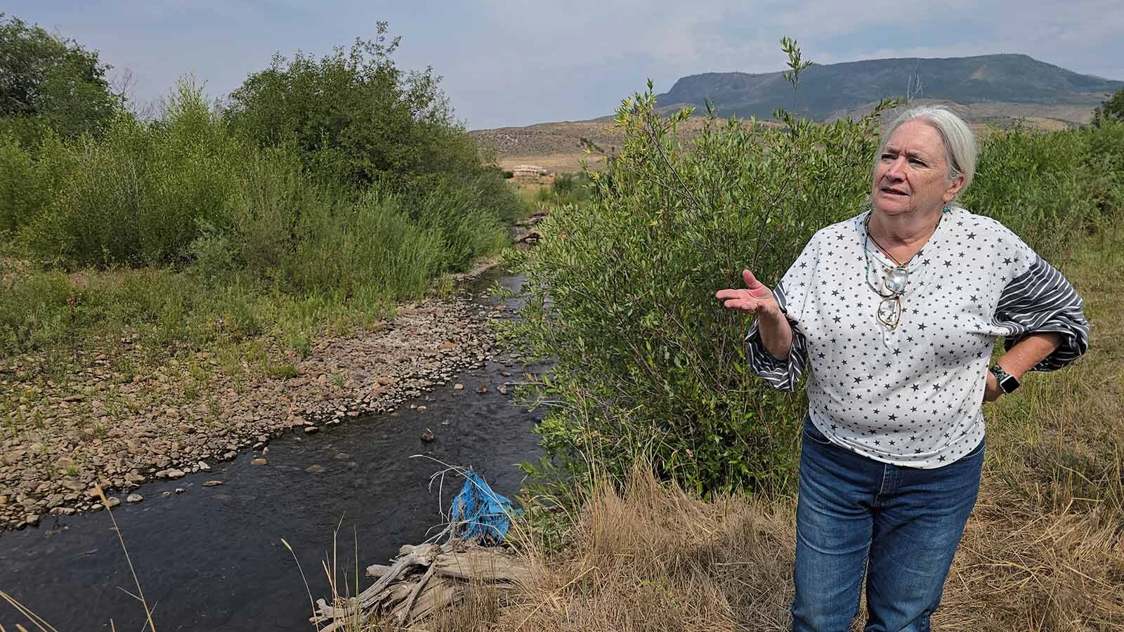 Sharon O’Toole talks about conservation work her family has done on the Ladder Ranch over the years.