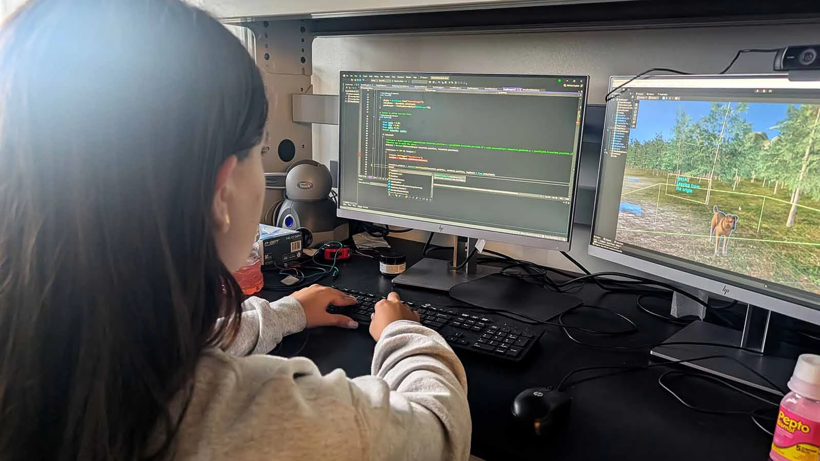 University of Wyoming linguists are trying to save the Lakota language with a video game that takes players through the Black Hills, with a dog. It'ss estimated that the Lakota language is spoken by only about 2,000 people, most older than 70.