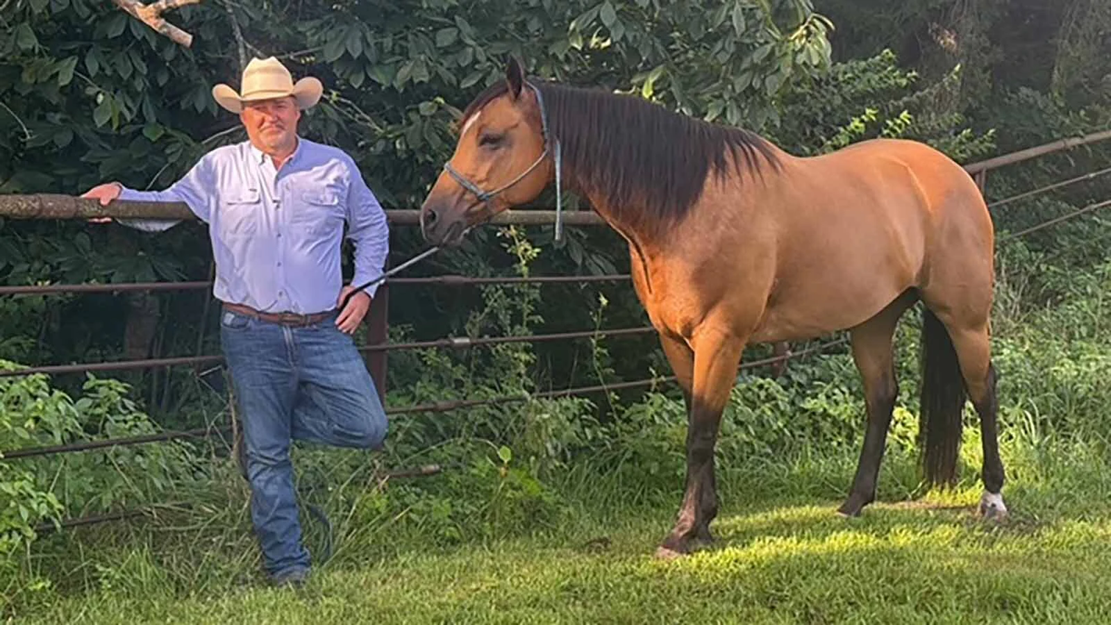 Lance Berry doesnt see a shortage of large animal veterinarians in Platte County yet, but he's taking calls from people in communities that are too far away for him to serve and he sees a looming retirement cliff ahead.