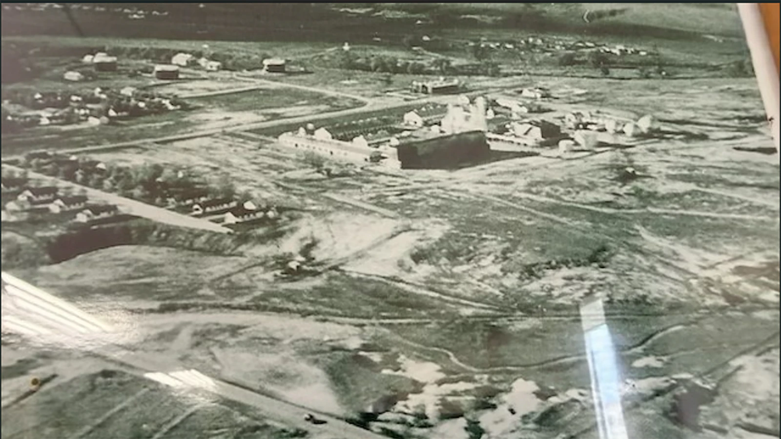 Lance Cereek 3 1946 plant 9 12 26