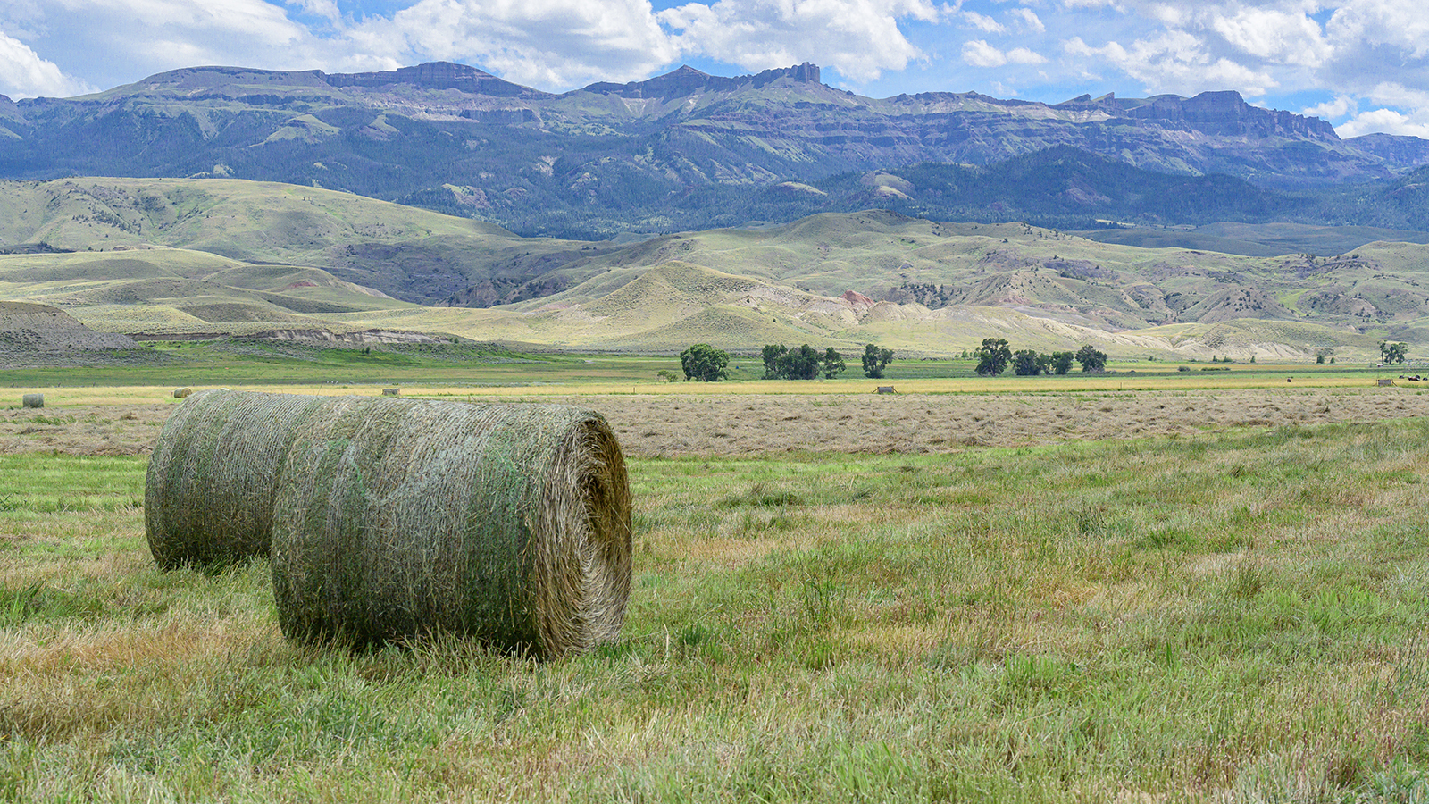 Pristine Park County Ranch Preserved Against… | Cowboy State Daily