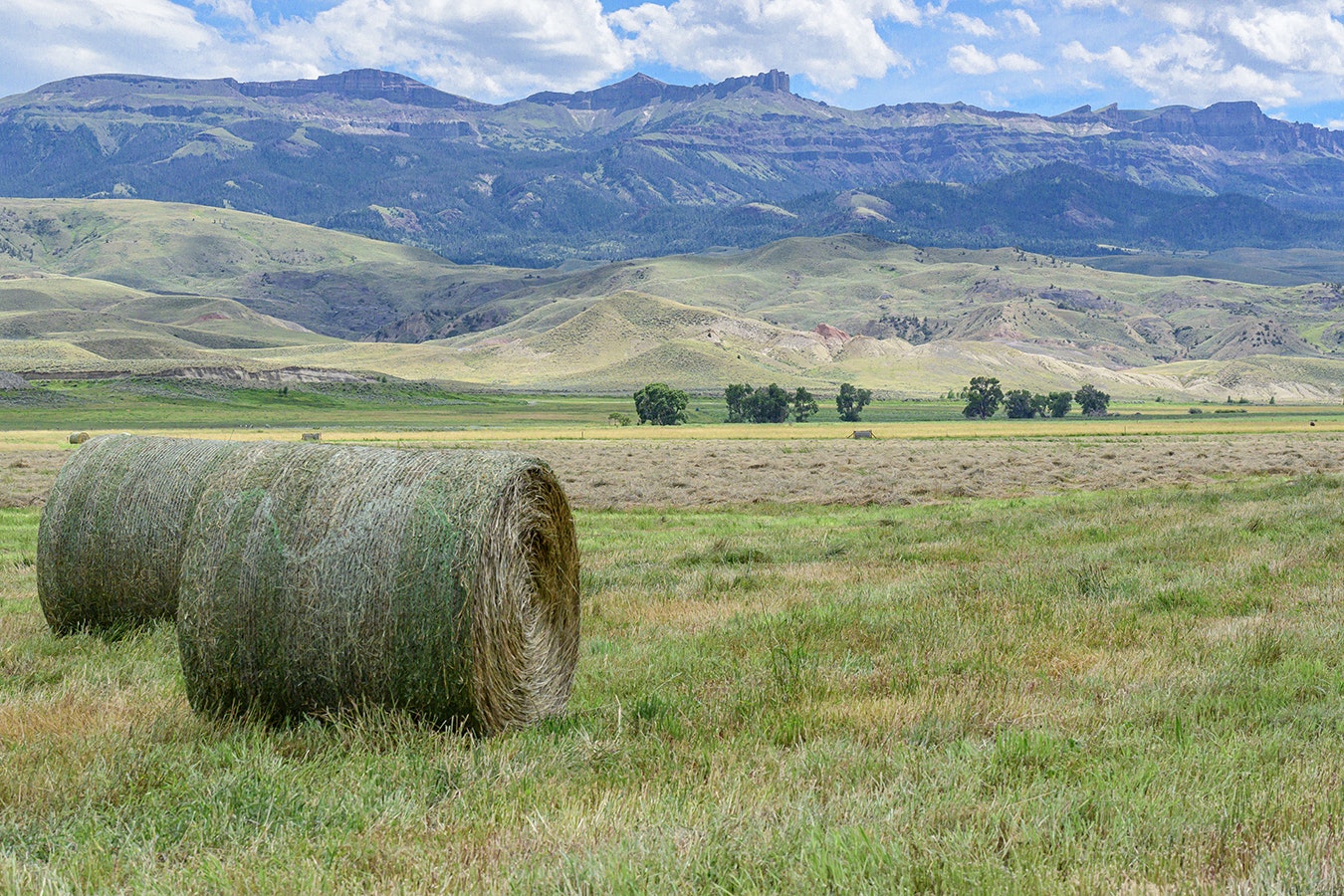 The 364-acre Four C Ranch is the first conservation easement for Park County Open Lands.