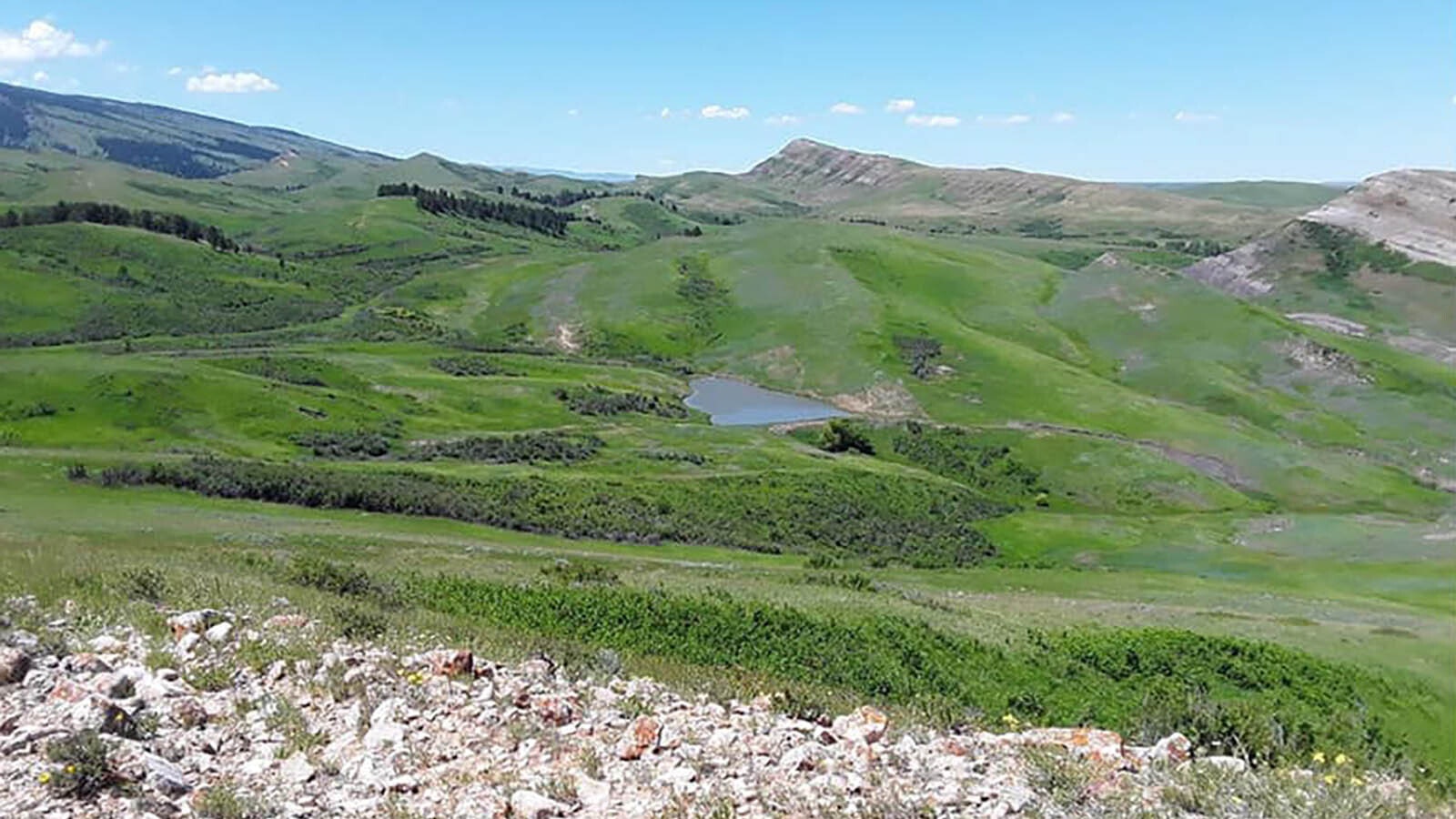 This 560 acres near the Bighorn Mountains is Wyoming state trust land.