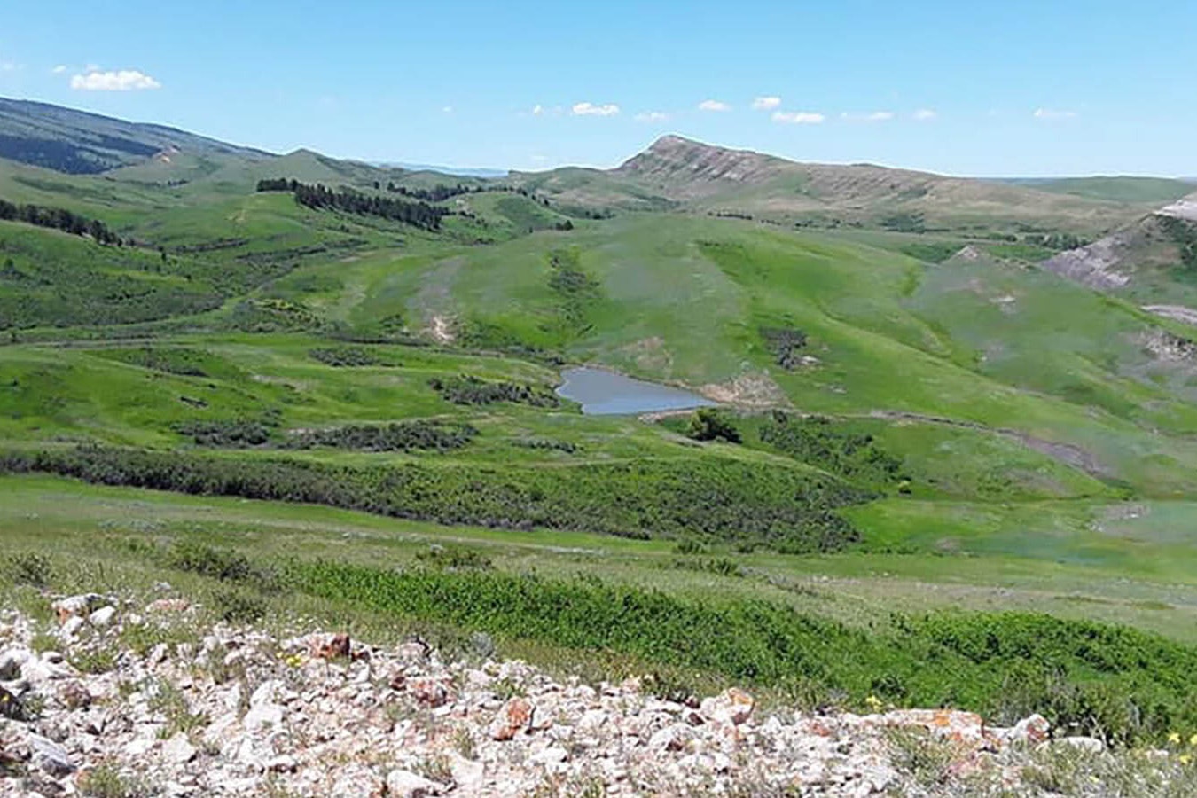 This 560 acres near the Bighorn Mountains is Wyoming state trust land.