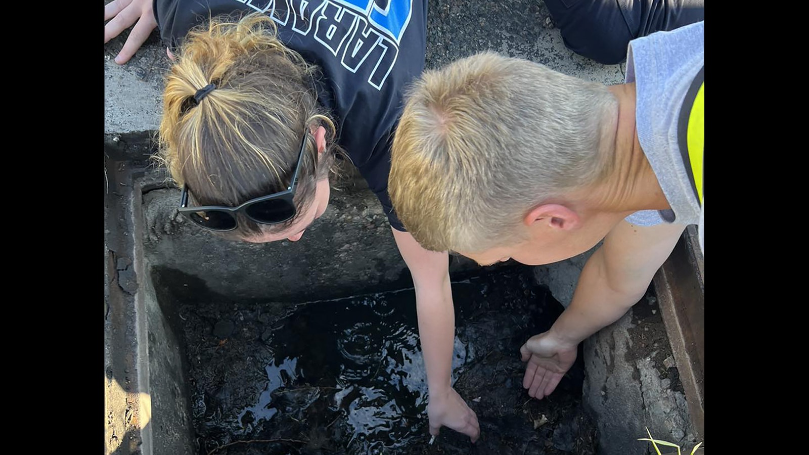 Firefighters work to retrieve a trio of ducklings from a Laramie storm drain Tuesday.