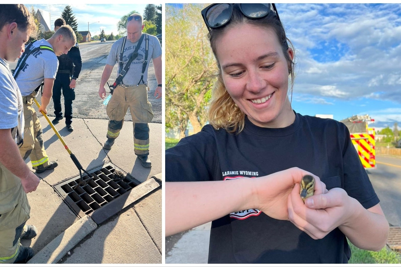 A Laramie Fire Department crew responded to a call to rescue some ducklings from a storm drain Tuesday evening. In the end, they pulled three scared, but healthy, ducklings out. Laura Levin holds one.