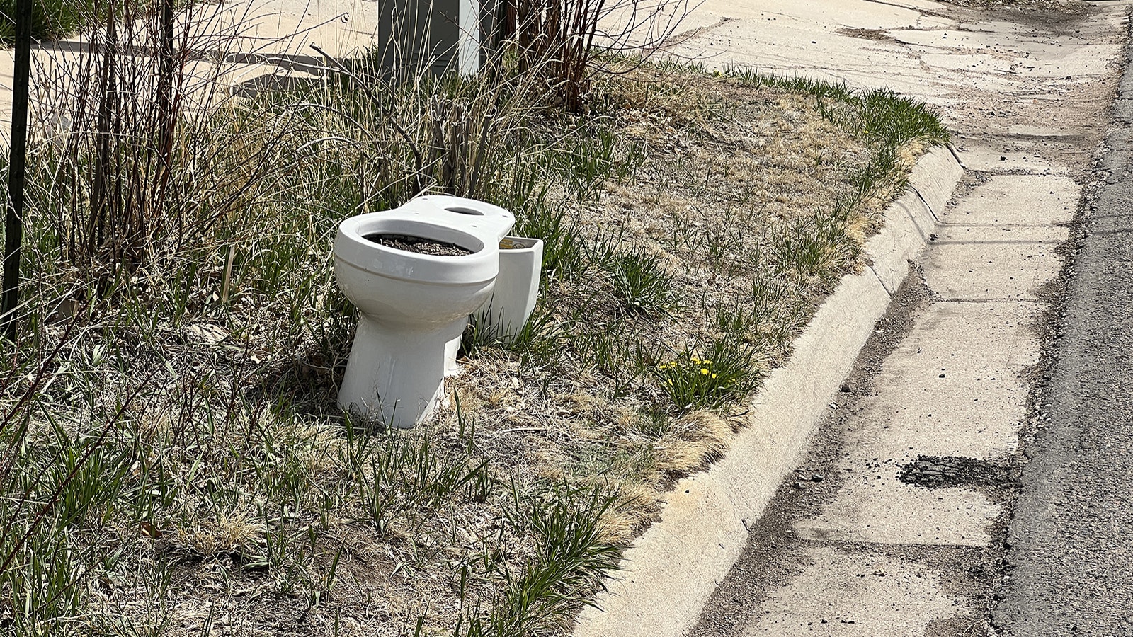 For more than two years, this old discarded toilet sat in the public right of way along Russell Avenue in Laramie. Someone would occasionally plant flowers in it.