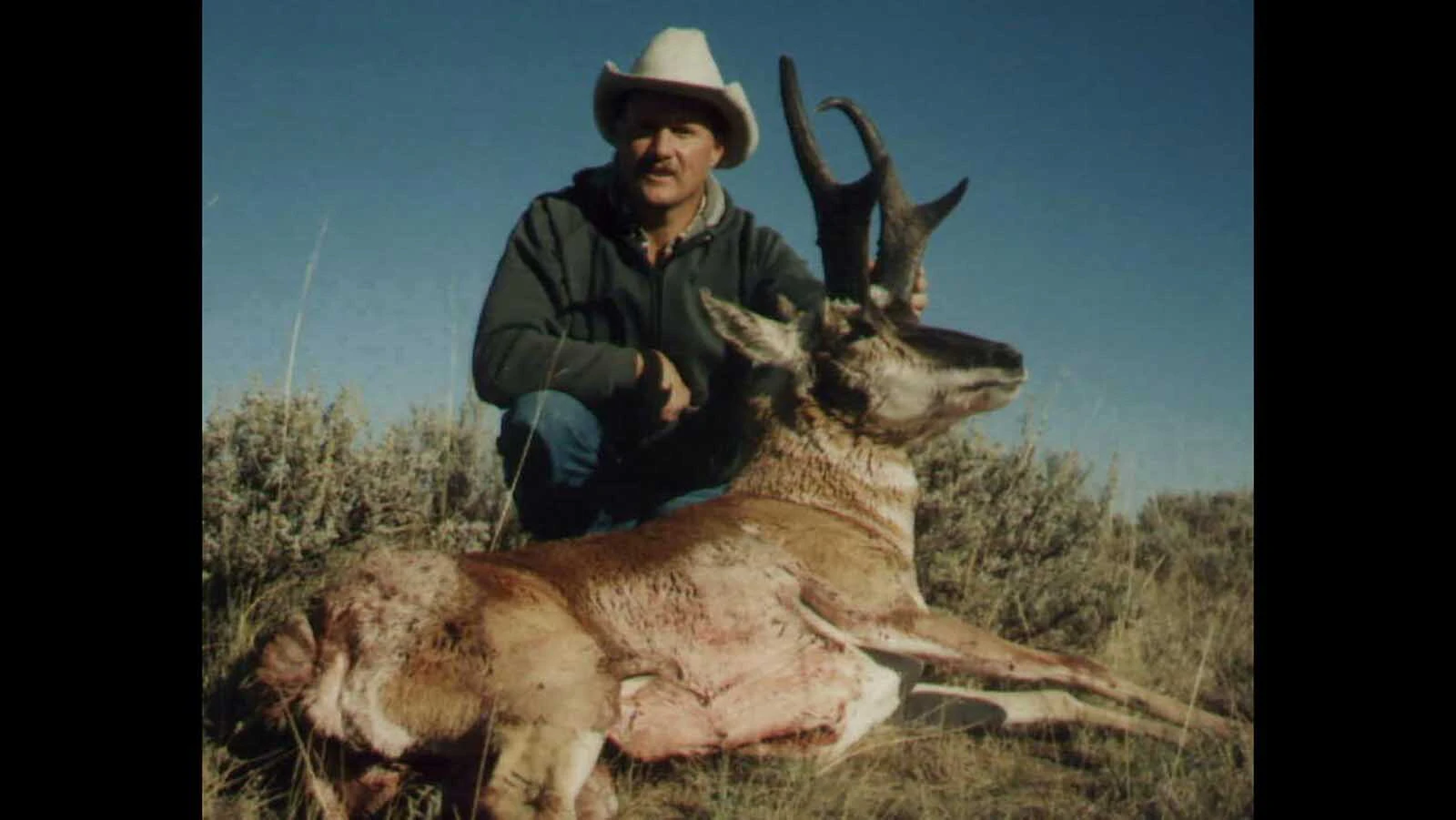 This was the first Boone and Crockett record book buck pronghorn that Larry Hicks ever shot, in 1999, and is still his biggest buck to date. Its horns were 16 ¾ inches long, with a 7-inch circumference below prong, and 6-inch prongs. Its official score is 88 inches gross, 87 inches net.