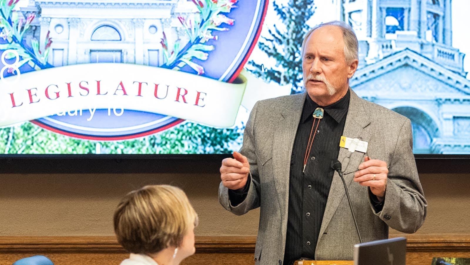 State Sen. Larry Hicks, R-Baggs, apologizes on the Senate floor Thursday for his Tuesday call-out of Sen. Eric Barlow's voting recordon abortion.