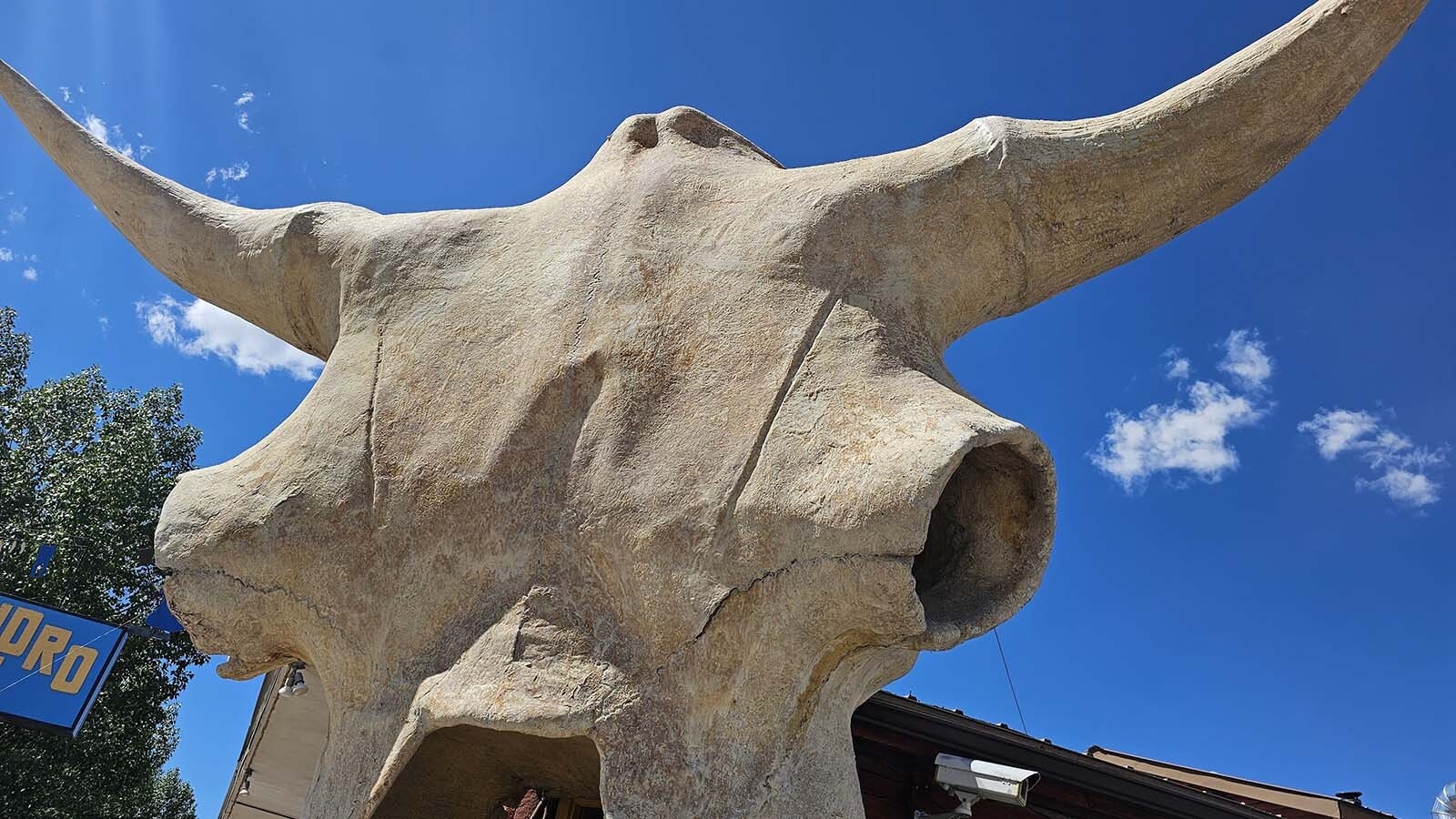 The top of Vic Lemmon's 15-foot-tall buffalo skull that forms the entryway for the Dubois Laundromat and Carwash.