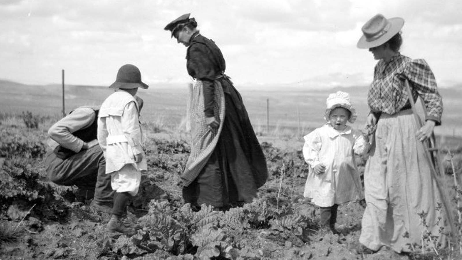 Mama and sisters by Laura Webb Nichols.